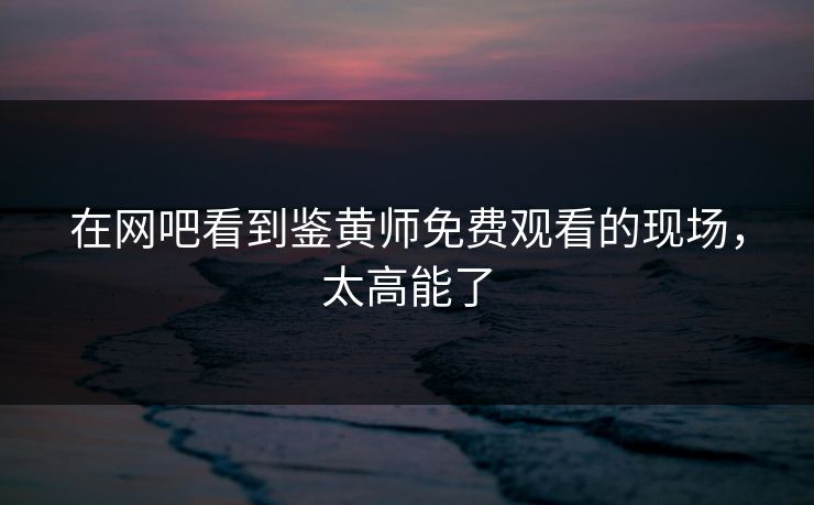 在网吧看到鉴黄师免费观看的现场，太高能了