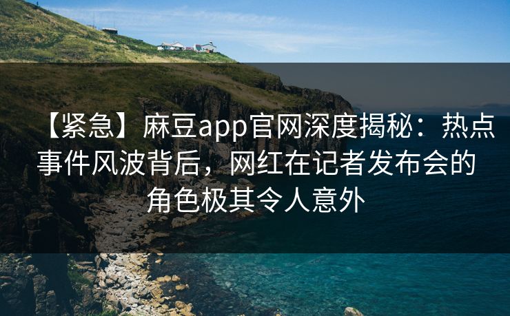 【紧急】麻豆app官网深度揭秘：热点事件风波背后，网红在记者发布会的角色极其令人意外
