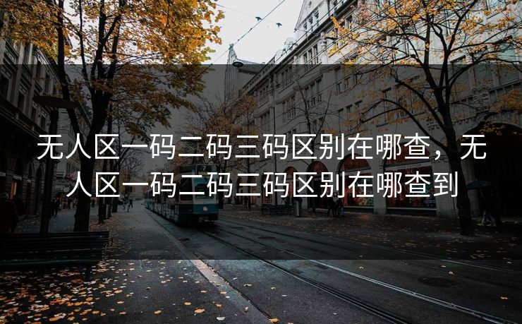 无人区一码二码三码区别在哪查，无人区一码二码三码区别在哪查到